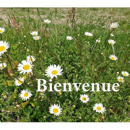 Charming Traditional 2-Bed Cottage Near Plémet Esterno foto