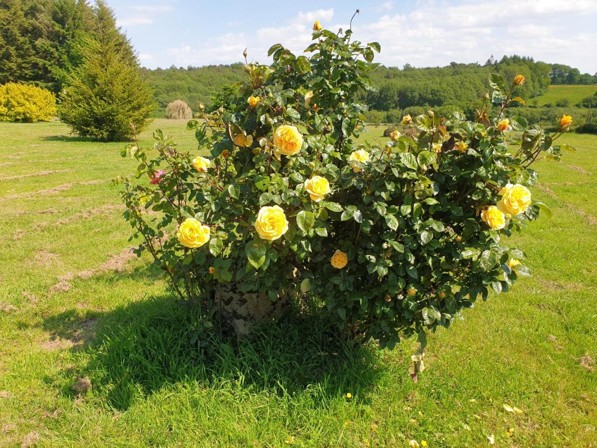 Charming Traditional 2-Bed Cottage Near Plémet Esterno foto